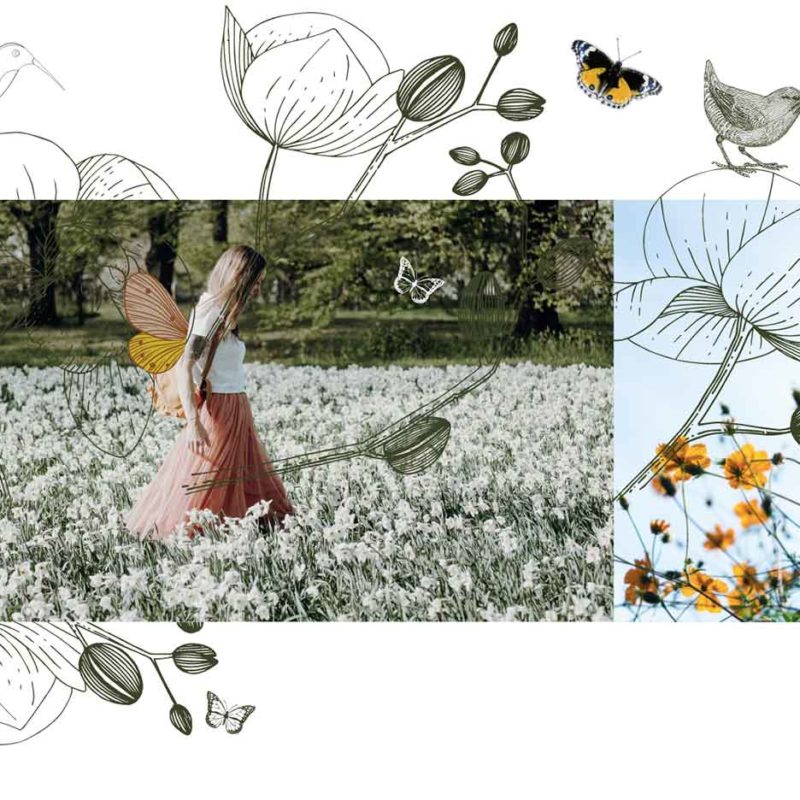 cours en ligne Journal Créatif équinoxe de printemps